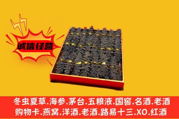 修武县回收海参